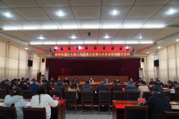 杨文萍参加枞阳镇代表团审议