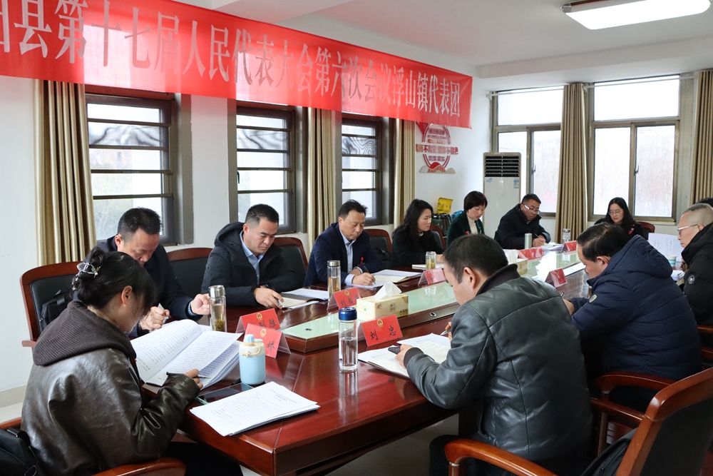 黄楚参加浮山镇代表团审议