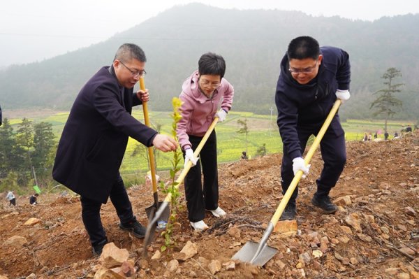 县领导与干部职工参加义务植树活动