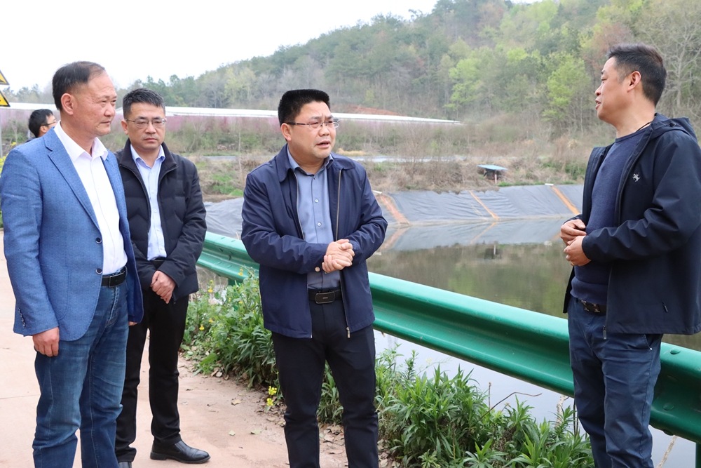 廖志远督导生态环保工作