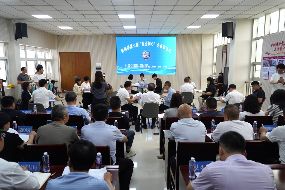 枞阳县举办第七期“枞企铜心”企业家沙龙活动