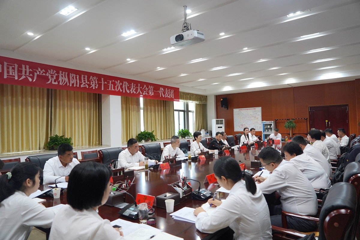 杨文萍参加县第十五次党代会第一、第六代表团讨论
