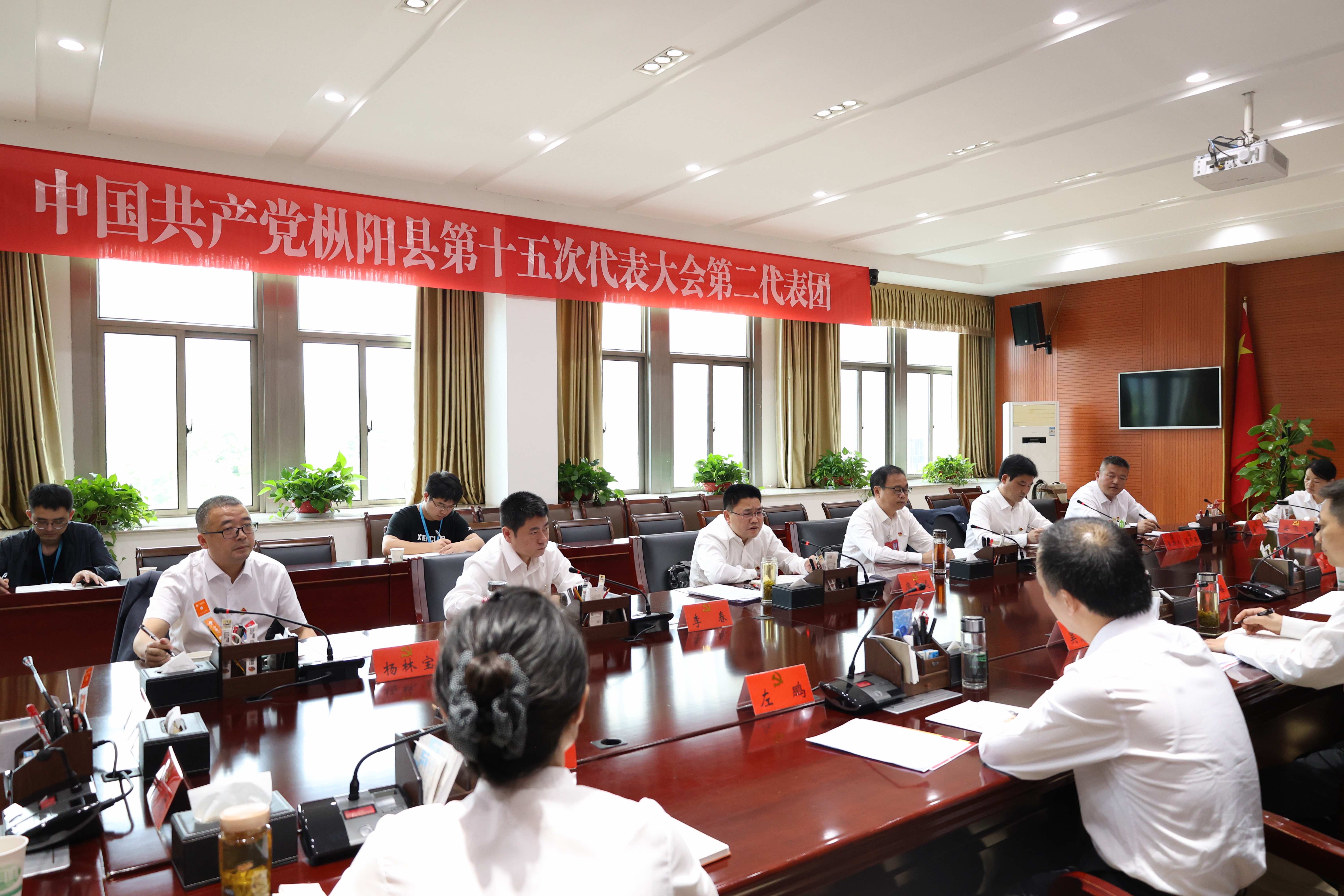 廖志远参加县第十五次党代会第二、第十代表团讨论