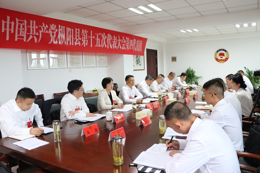 黄楚参加县第十五次党代会第四代表团讨论