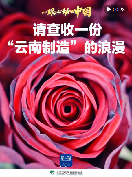 已经是最后一页了