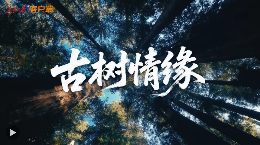 QQ截图20251008145516.png