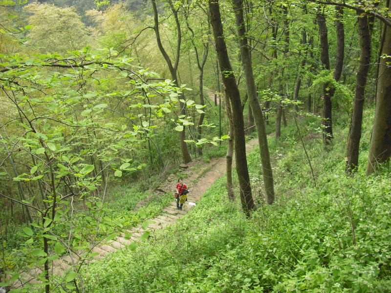 CIMG0847-1.JPG