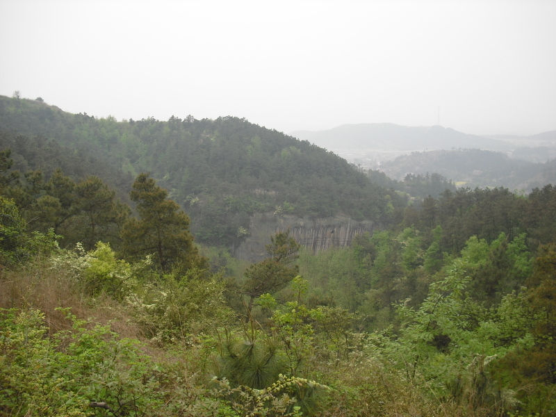 CIMG0881-1.JPG