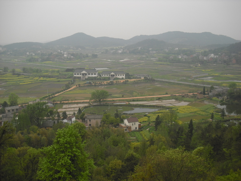 CIMG0944-1.JPG
