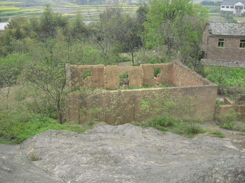 CIMG0954-1.JPG