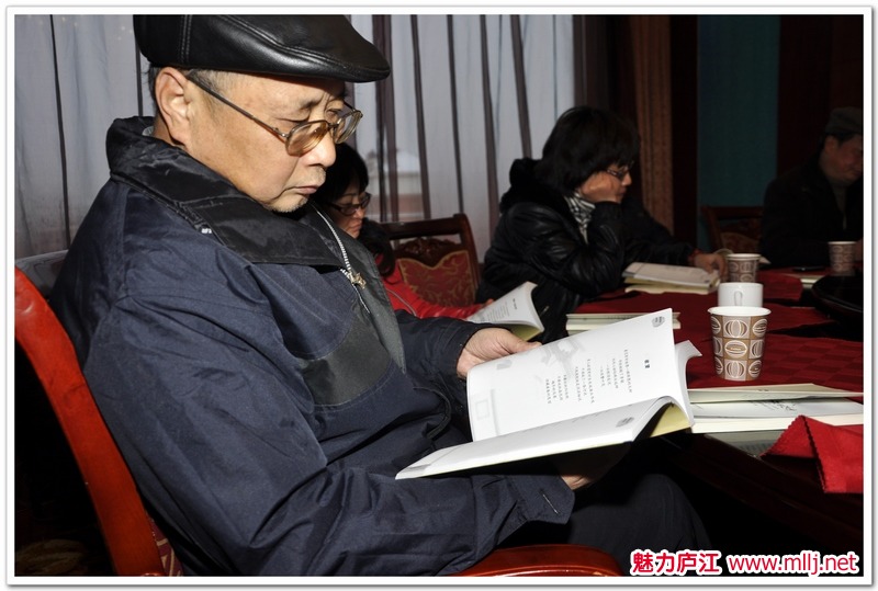 黄晔诗集——《诗歌的远行》庐江作品研讨会举行 - 缘份天空wg - 黄晔的博客