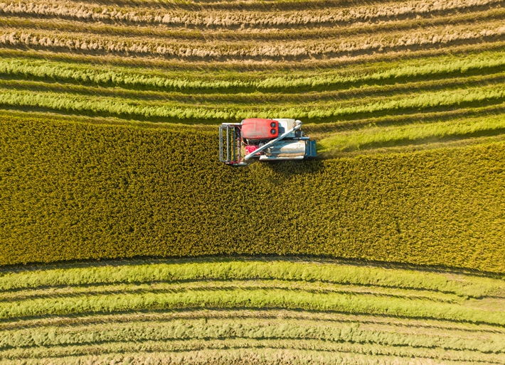 DJI_0717.jpg