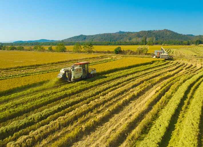 DJI_0720.jpg