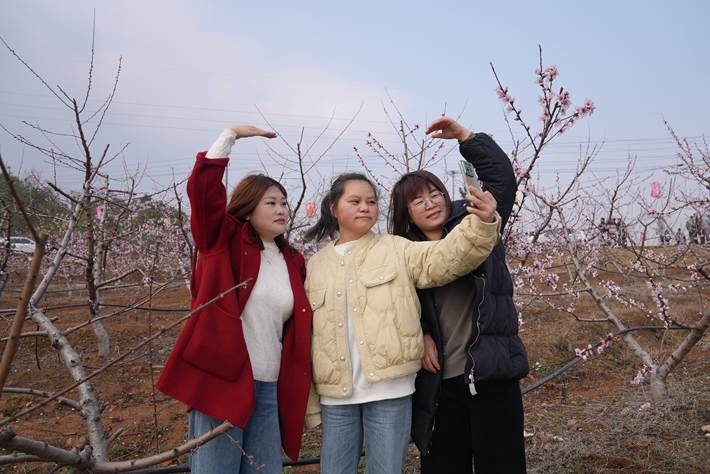 DSC00210_副本.jpg