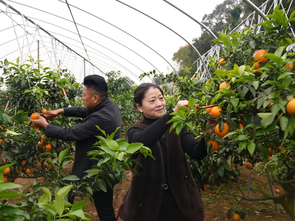 DSC02488_副本.jpg DSC02488_副本.jpg