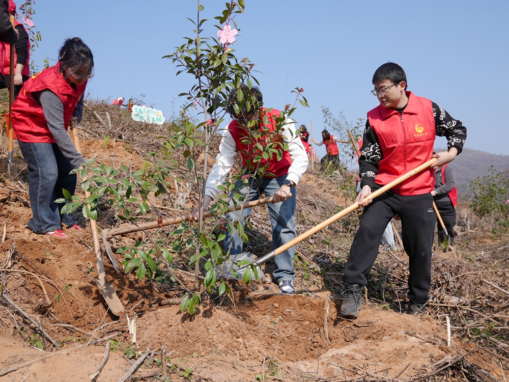 DSC06194_副本.jpg DSC06194_副本.jpg