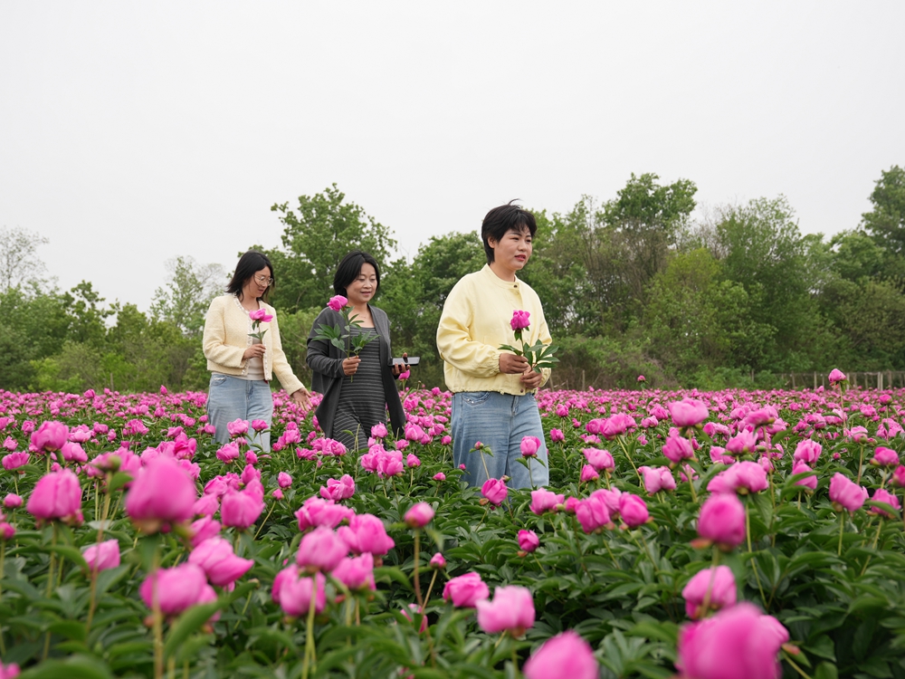 DSC09281_副本.jpg