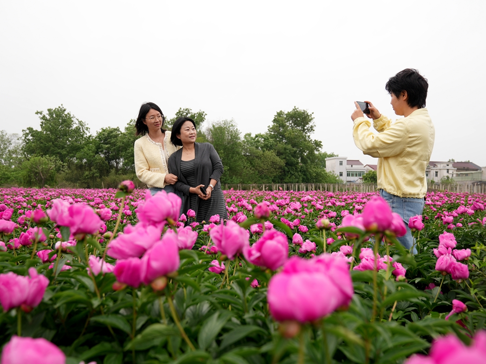 DSC09254_副本.jpg
