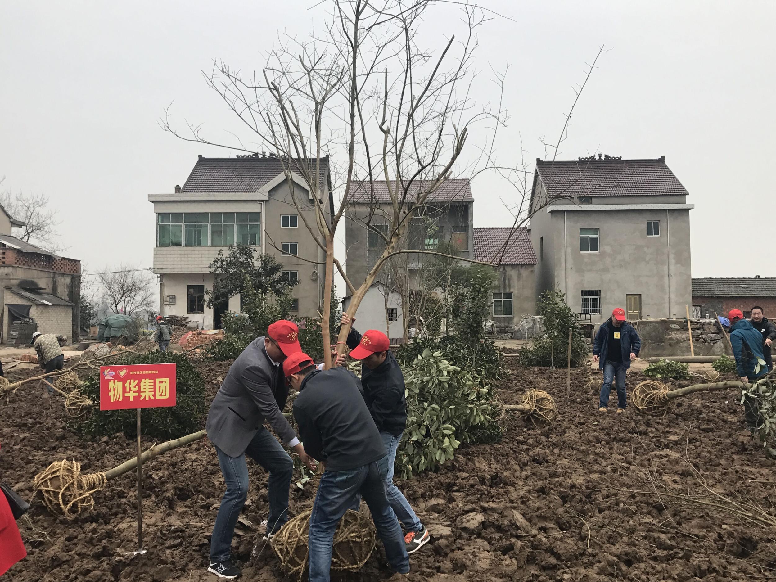 QQ图片20170310152540.jpg