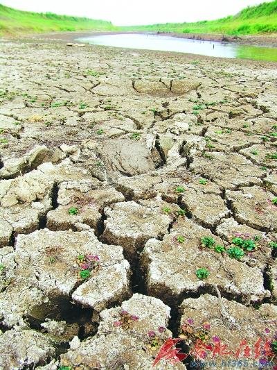 安徽枞阳千余师生因水荒被迫停课(组图)