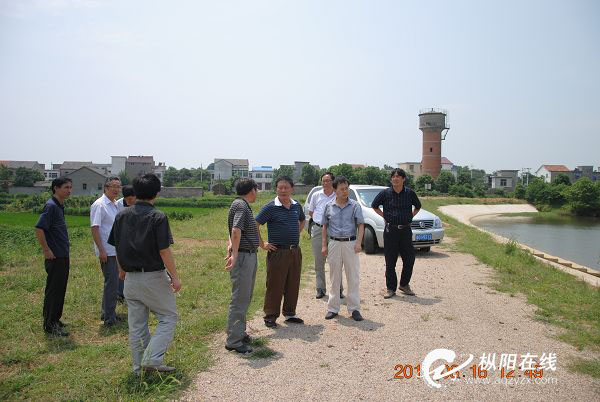 县政协委员视察水利工程建设