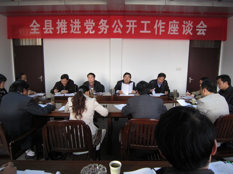 枞阳推进党务公开工作座谈会召开