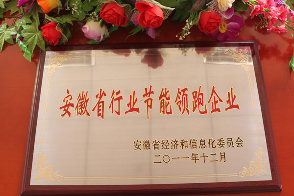 枞阳海螺喜获2011年度安徽省行业节能领跑企业称号
