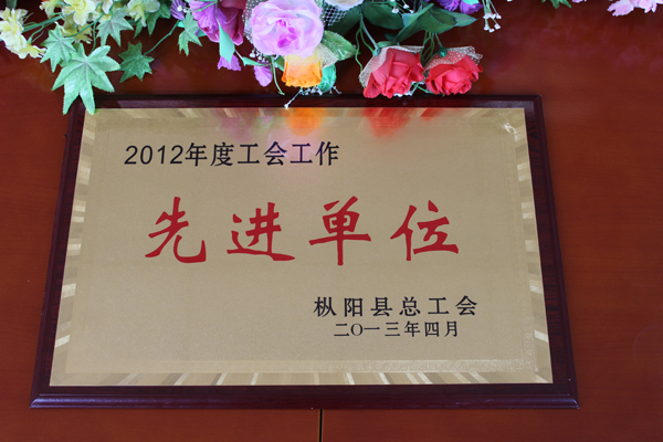 枞阳海螺荣获2012年度工会工作“先进单位”荣誉称号