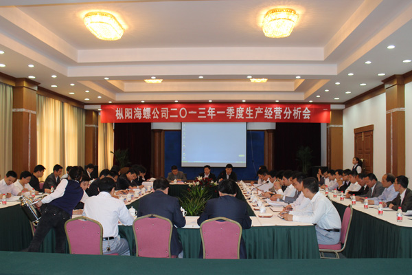 枞阳海螺召开2013年一季度生产经营分析会