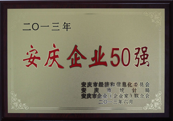 枞阳海螺荣获“2013年安庆企业50强”称号