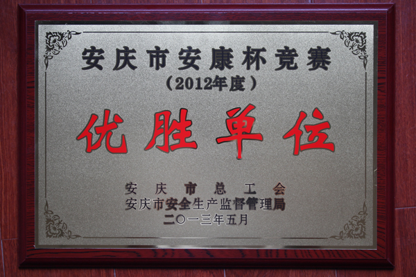 枞阳海螺荣获市安康杯竞赛优胜单位
