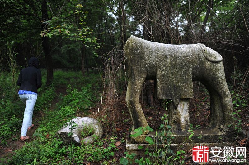 枞阳抗倭将领阮鹗墓石刻或者遭人蓄意破损