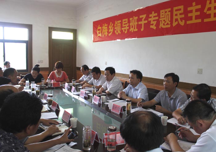 唐燕曙指导白梅乡班子专题民主生活会