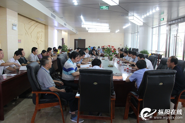 枞阳召开省十三运工作协调会