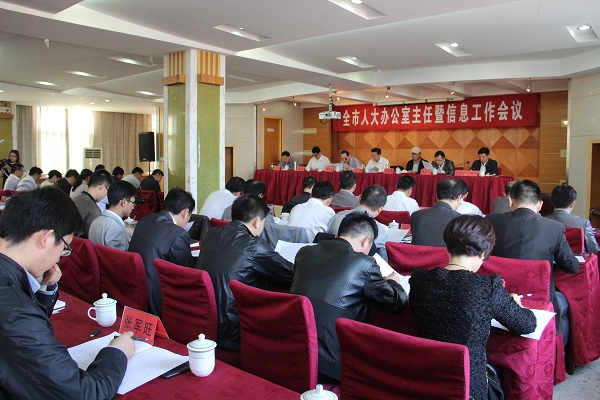 全市人大办公室主任暨信息工作会议在枞阳召开