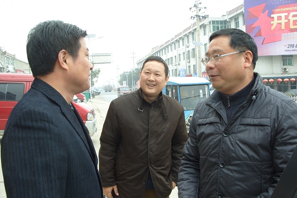 市公路三线三边检查组来枞阳督查