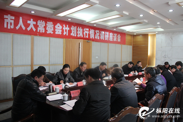 市人大调研组来枞阳调研计划执行情况