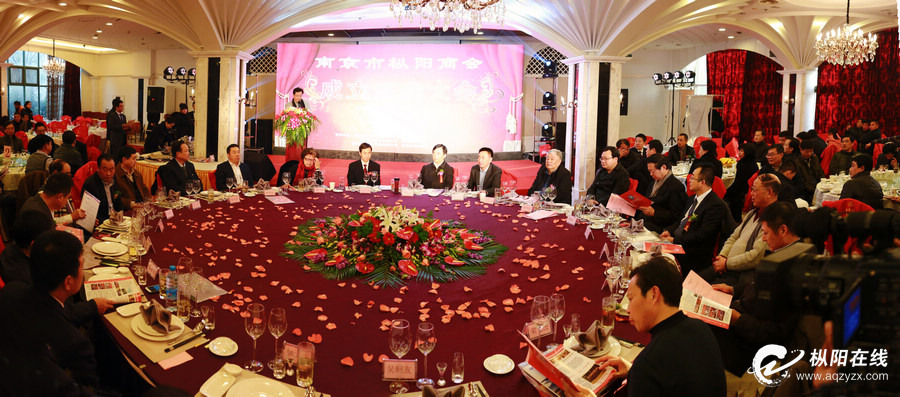 南京市枞阳商会举行成立庆典大会