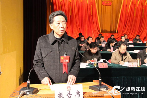 枞阳县人民代表大会常务委员会工作报告(摘要)