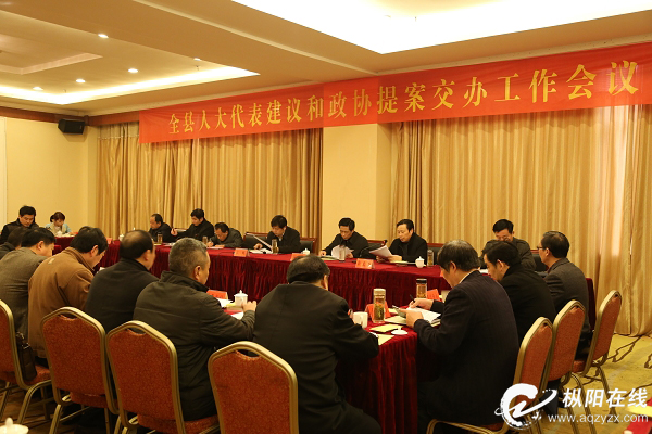 枞阳2015年建议提案已交办