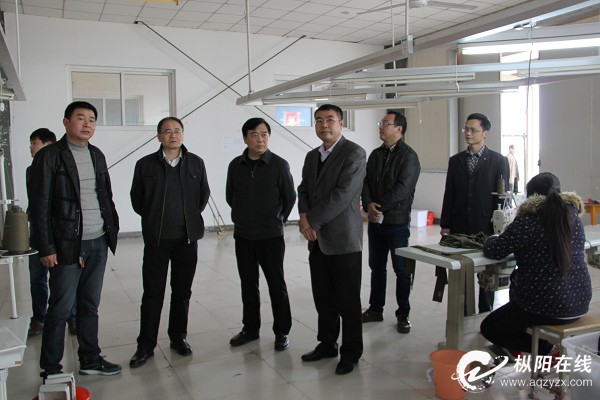 市督查组来枞阳督查重大招商项目建设