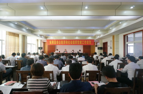 枞阳深入推进非公经济和社会组织党建