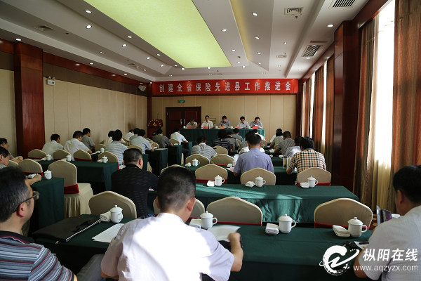 枞阳召开创建全省保险先进县推进会