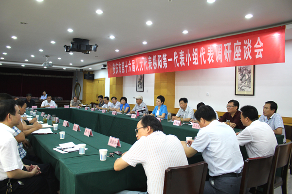市第十六届人大枞阳县代表团第一代表小组召开调研漫谈会