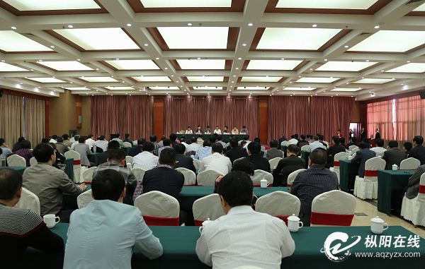 枞阳召开2015年度安庆市政风行风测评会