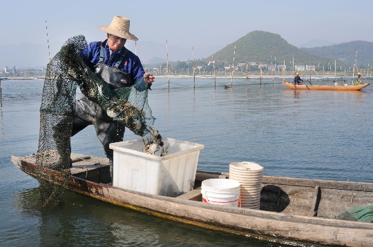 “白荡湖”大闸蟹获“徽蟹十大品牌”称号