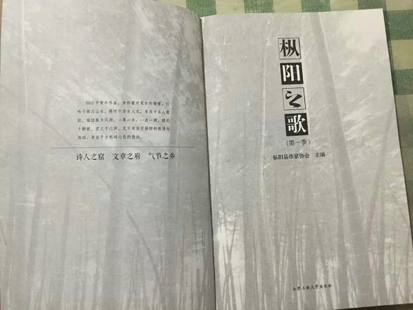 《枞阳之歌》散文集出书刊行