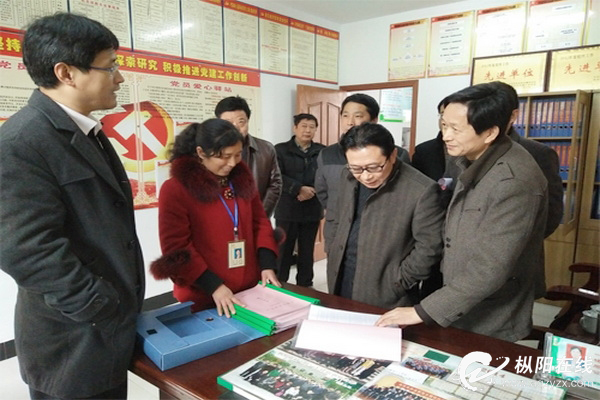 市委组织部来枞阳调研基层党建工作