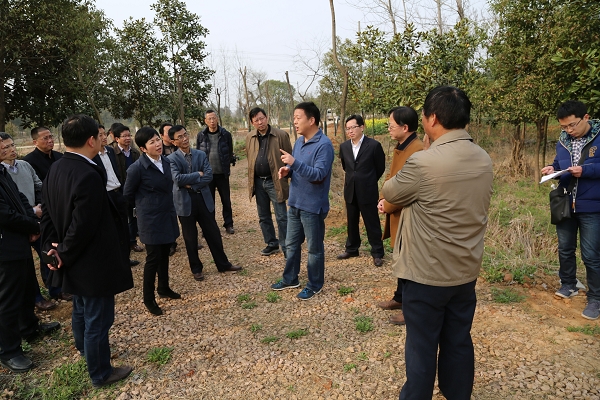 发挥金融杠杆作用 支持促进长远发展