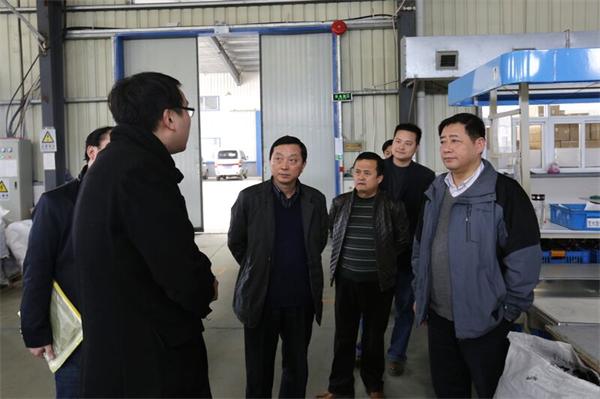 市财政局来枞阳调研指导工作